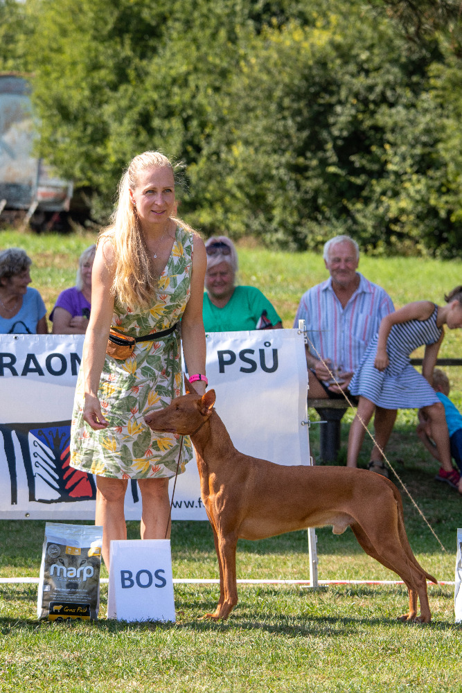 25.8.2024 Klubová výstava Rybníček