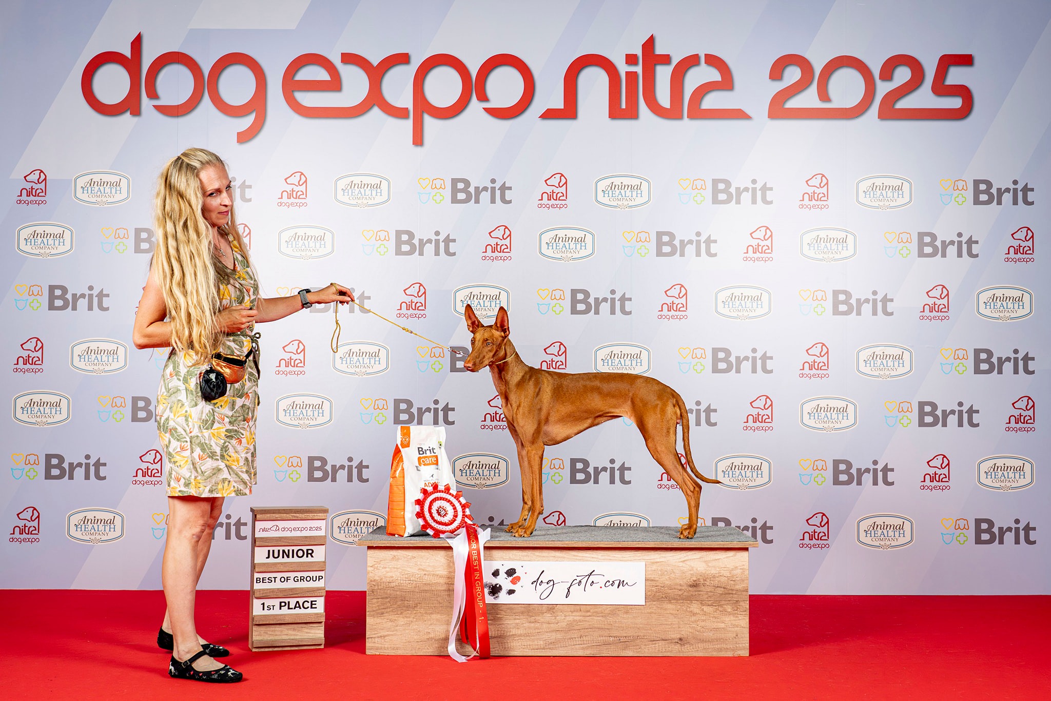 13.-15.6.2025 3x CACIB Nitra, SK